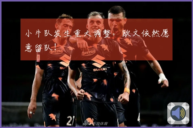 小牛队发生重大调整，欧文依然愿意留队！